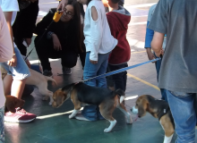 BENDICION_DE_MASCOTAS_11.JPG